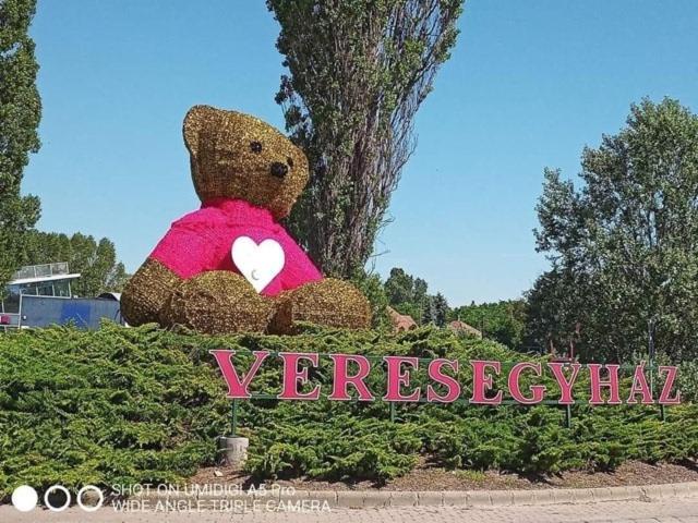 Veresegyház Mandi Apartman מראה חיצוני תמונה