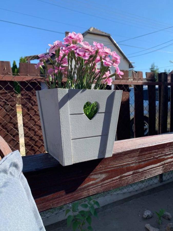 Veresegyház Mandi Apartman מראה חיצוני תמונה